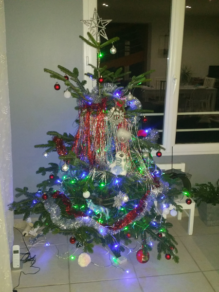 Sapin
