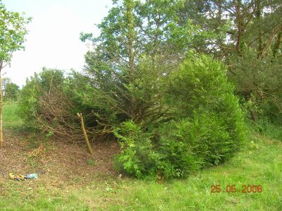 DSCN2039.JPG