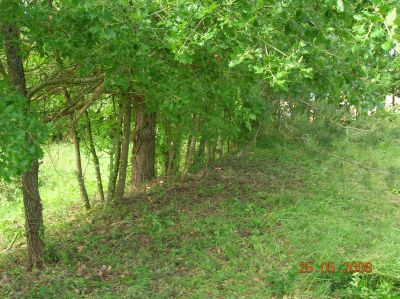 DSCN2053.JPG