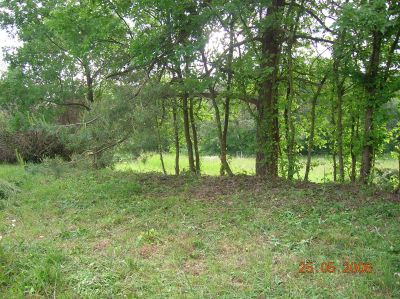 DSCN2055.JPG