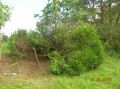 DSCN2039.JPG