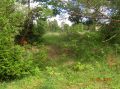 DSCN2042.JPG