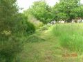 DSCN2049.JPG