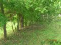 DSCN2053.JPG