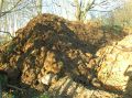 DSCN4498.JPG