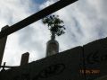 DSCN5125.JPG
