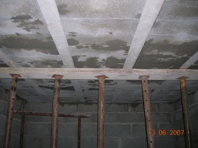 DSCN5393.JPG