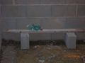 DSCN5259.JPG