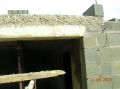 DSCN5406.JPG