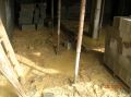 DSCN5408.JPG